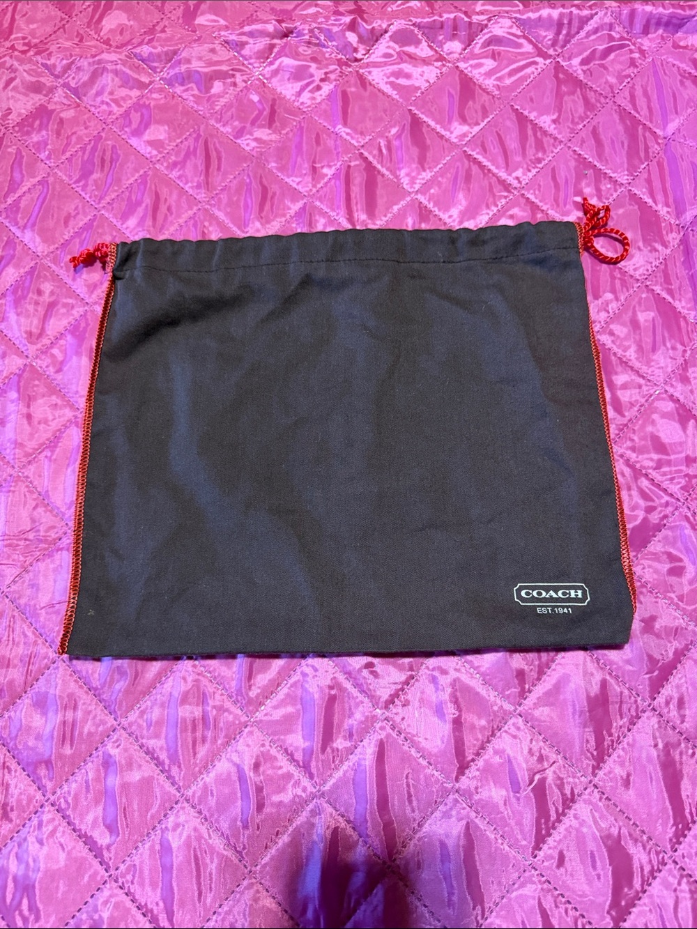 COACH Brown Dust Bag